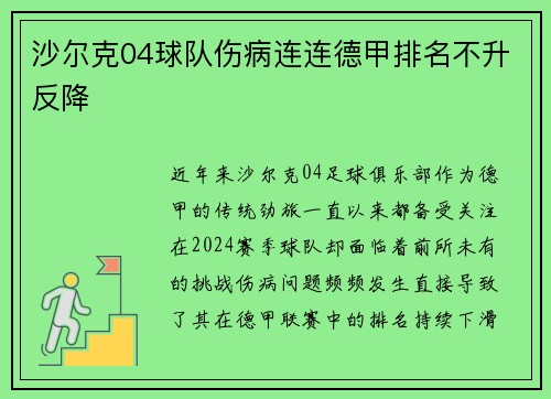 沙尔克04球队伤病连连德甲排名不升反降