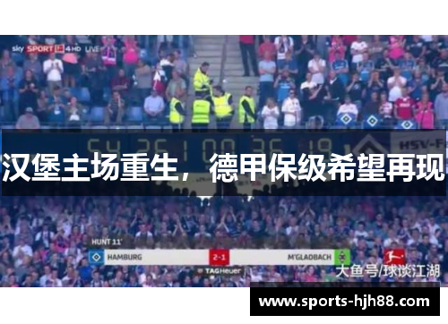 汉堡主场重生，德甲保级希望再现